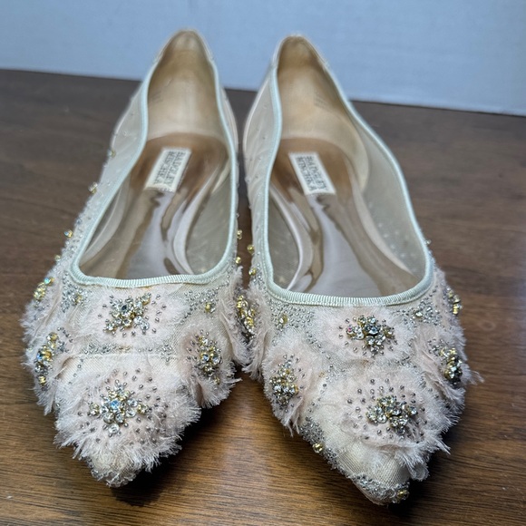 GORGEOUS Badgley Mishka Adrienne Embellished Cream Pink Ballet Flats, Womens 9.5 - Picture 2 of 16